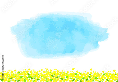 水彩画の菜の花地平線と青空