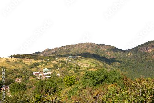 The mountain is full of green forest isolate on white background