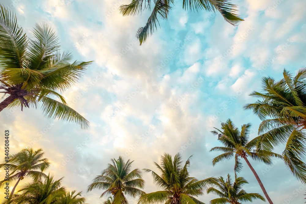 Fototapeta Beautiful seaside tropical beach background. Coconut palm tree and cloud over blue sky. summer vacation background concept. vintage tone
