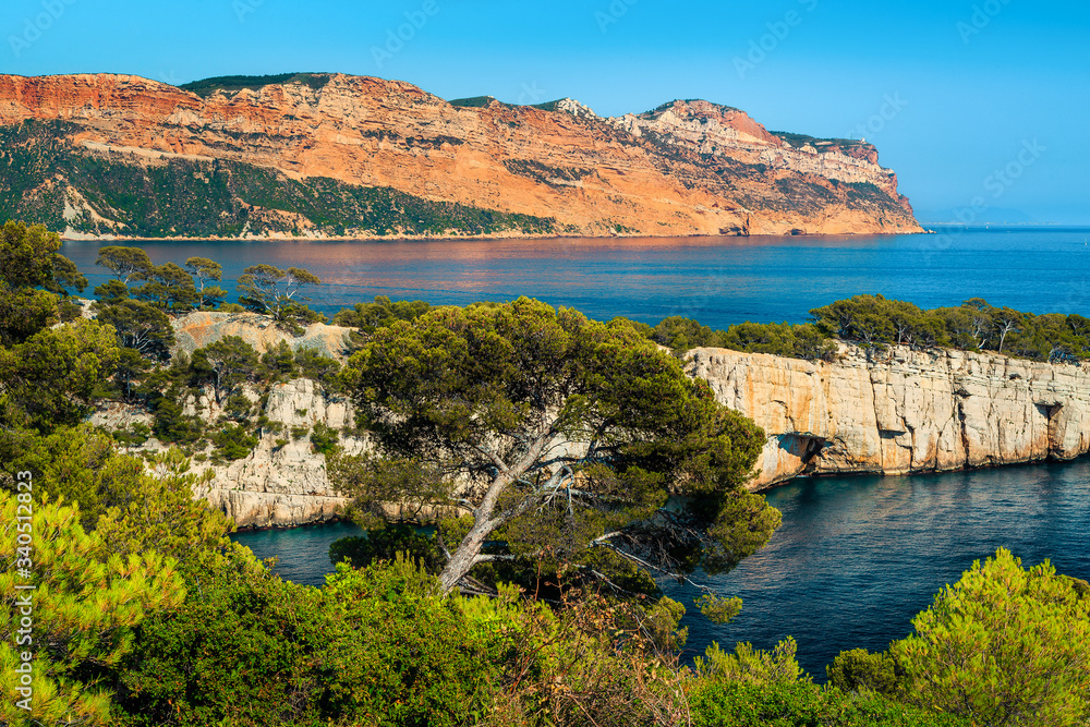Picturesque Calanques de Port Pin bay in Cassis, Provence, France