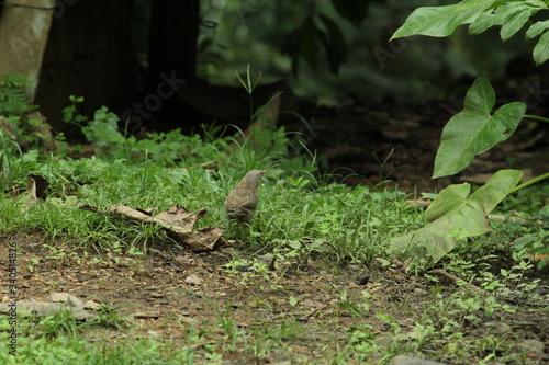 Beautiful nature and its different macro living forms 