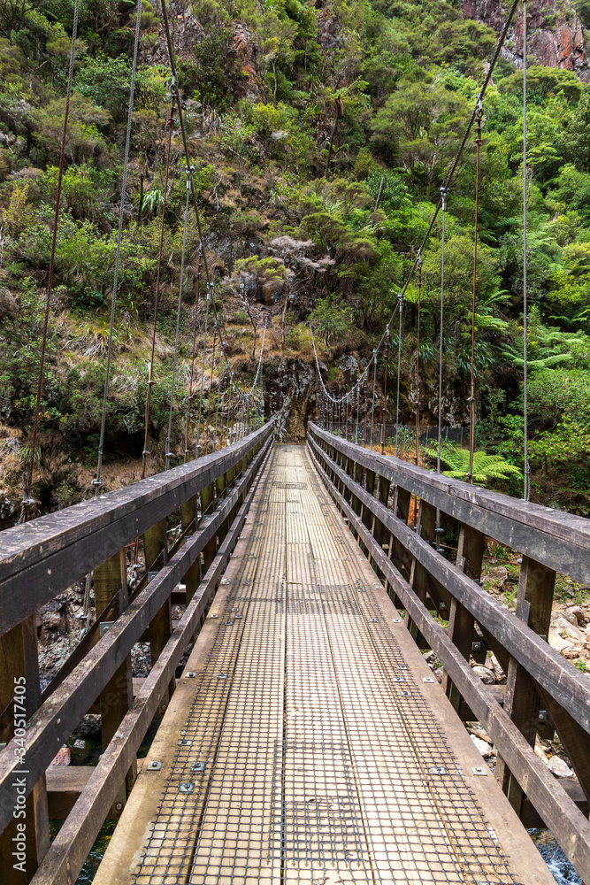 Foot bridge at  Karangahake gorge in New Zealand
