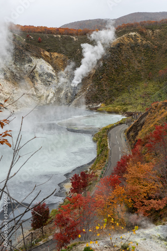Japanese autumn colours I