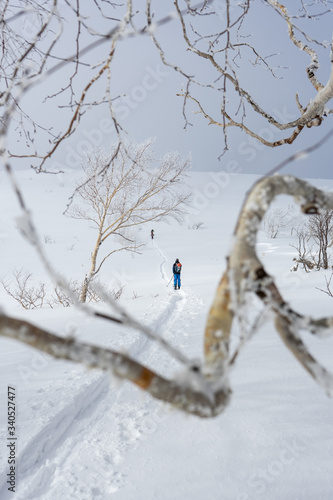 skitouring in Hokkaido/Japan through a tree