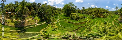 Panoramic view of beautiful rice terraces in Bali