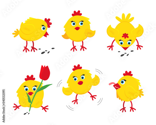 6 cute funny little chick chiken hen cartoon flat style design vector illustration set isolated on white background. Funny yellow chicken standing up on the ground.