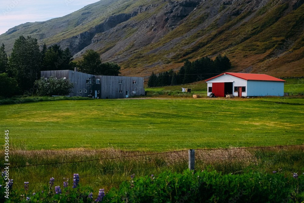 Cozy modern design farm and barn with a red roof against the backdrop of mountains in Iceland