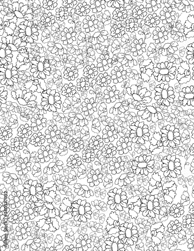 black and white floral paper black and white floral paper