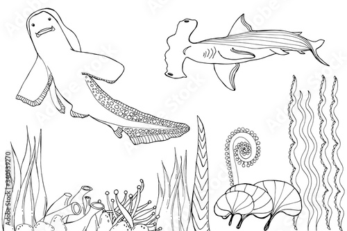shark. Coloring book. Hand drawing coloring book for children and adults. Beautiful drawings with patterns and small details.