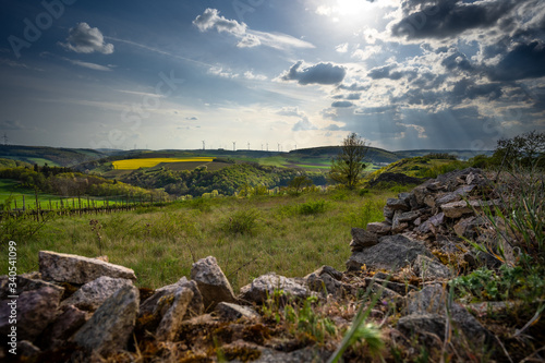 Siefersheimer Horn / Rheinhessen