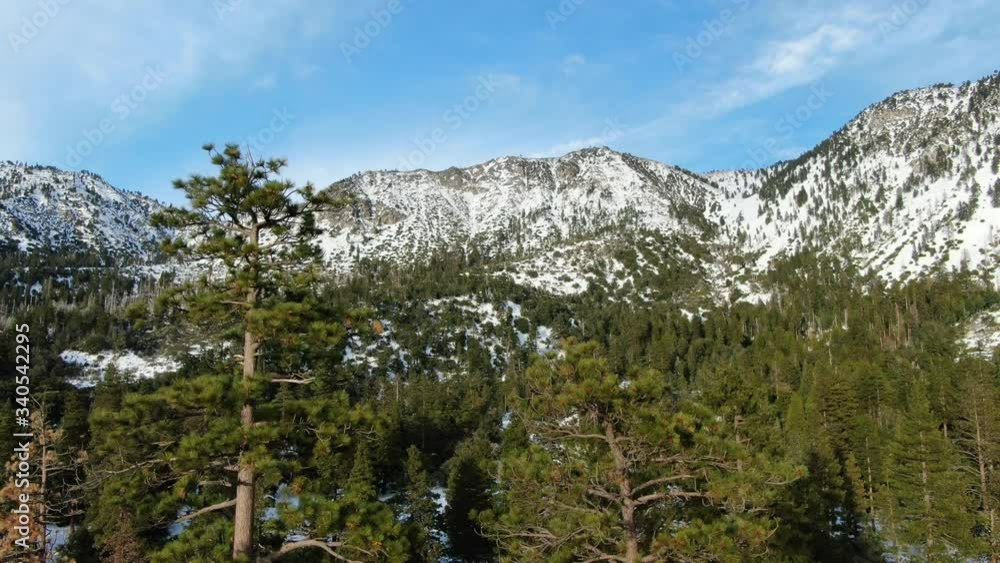 Winter Alpine Forest and Snow Covered Mountains Daytime Aerial Shot California Descend Winter Alpine Forest and Snow Covered Mountains Daytime Aerial Shot California Descend