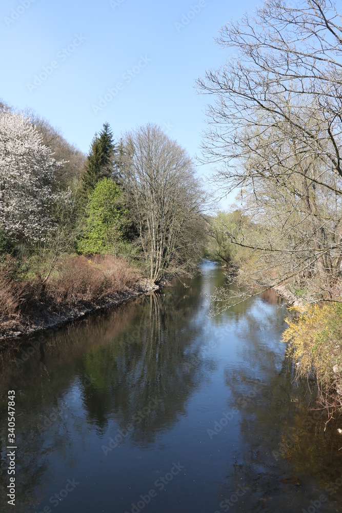 Frühling am Fluss Wupper 