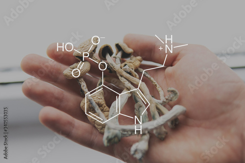 chemical formula of psilocybin on a blackboard Mushroom. Close up Magic shroom. photo