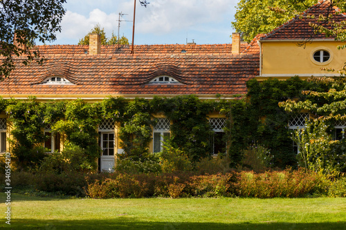 an old European house covered with green plants with a tiled roof with windows like eyes, with a beautiful garden around