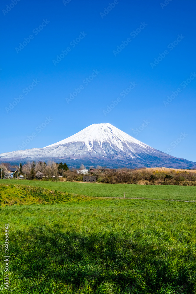 朝霧高原からの富士山