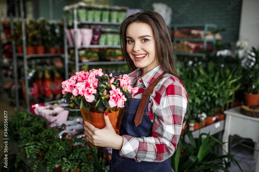 Cute woman working in flower center, girl holding a flowerpot, beautiful pink flowers
