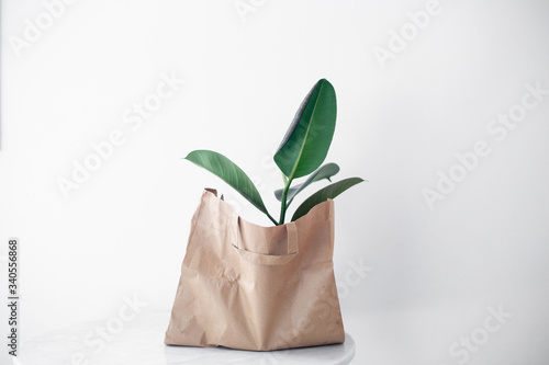 green flower in a paper bag on marble background