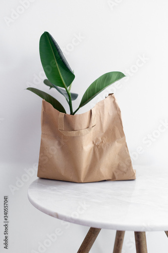 green flower in a paper bag on marble background