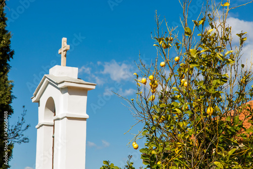 lemon tree in blue sky and cross in background photo