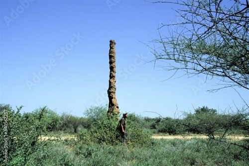 Baukunst - Imposanter, riesger Termitenbau im Buschland von Äthiopien photo