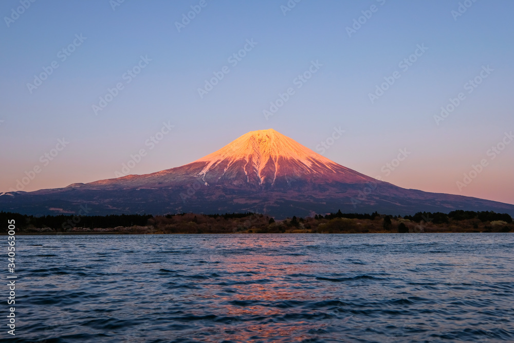 田貫湖と富士山 田貫湖と富士山