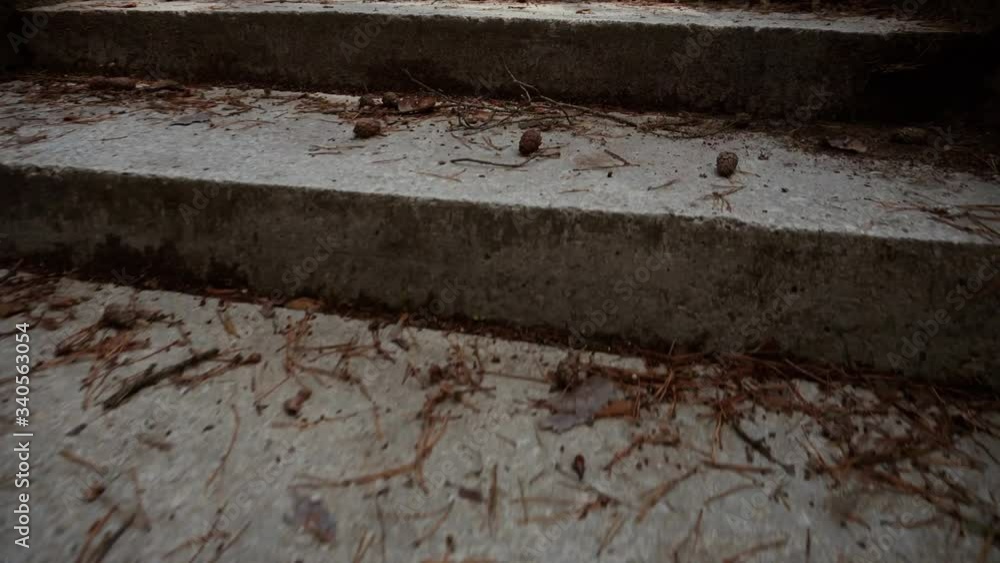 A quick climb movement up the forest covered with foliage and pine spruce needles stairs. Camera movement up the stairs