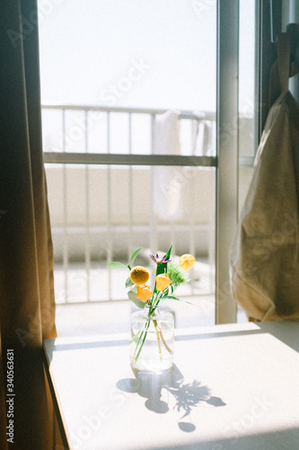 窓辺の花
