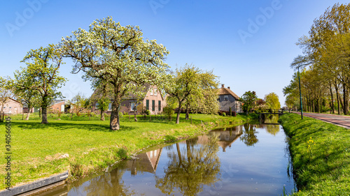 Typical Dutch village scape with small traditonal houses reflected in the water and flowering fruit trees during spring