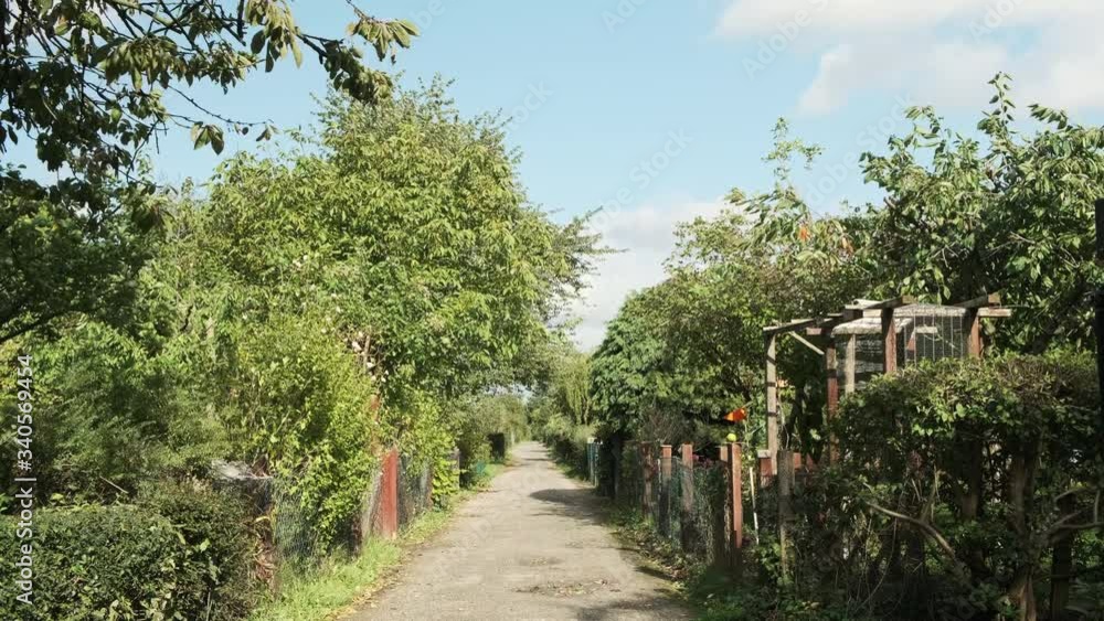 A sunny and windy day looking down a tree lined path between allotments in Germany A sunny and windy day looking down a tree lined path between allotments in Germany