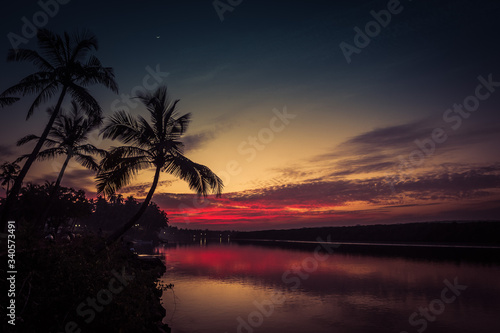 Silhouettes of palms near the river in India during the colorful sunset © volobotti