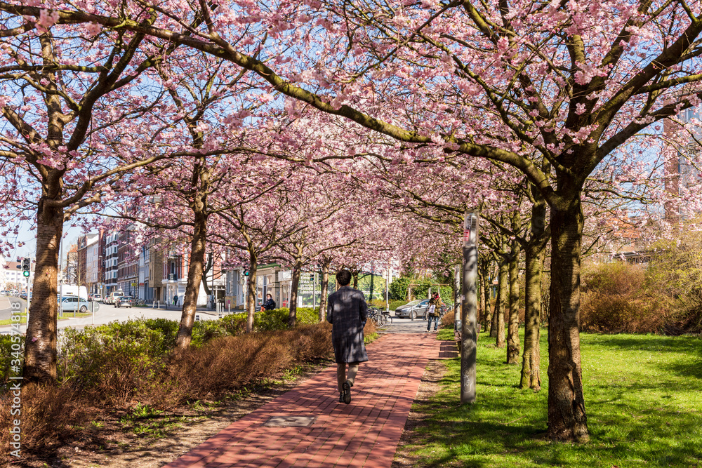 Frühling im Norden Deutschlands in Kiel, der Landeshauptstadt Schleswig-Holsteins