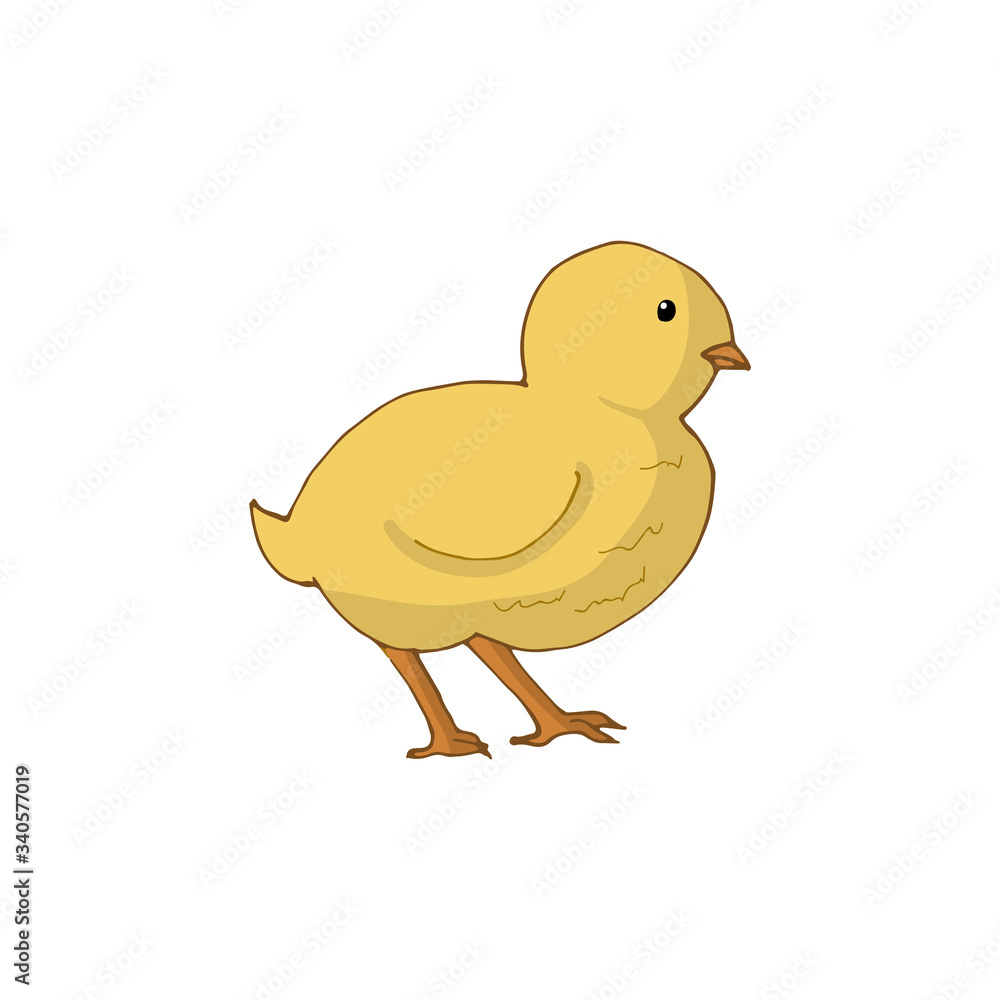 Isolated chicken on a white background. Hand-drawn vector illustration. Isolated chicken on a white background. Hand-drawn vector illustration.