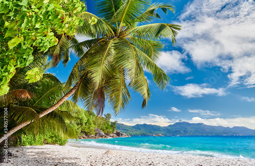 Fototapeta Naklejka Na Ścianę i Meble -  Beautiful Anse Soleil beach with palm tree at Seychelles