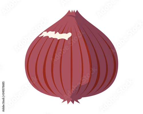 野菜　タマネギ　