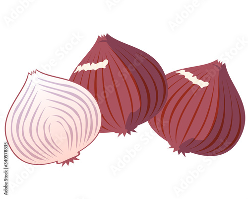 野菜　タマネギ　