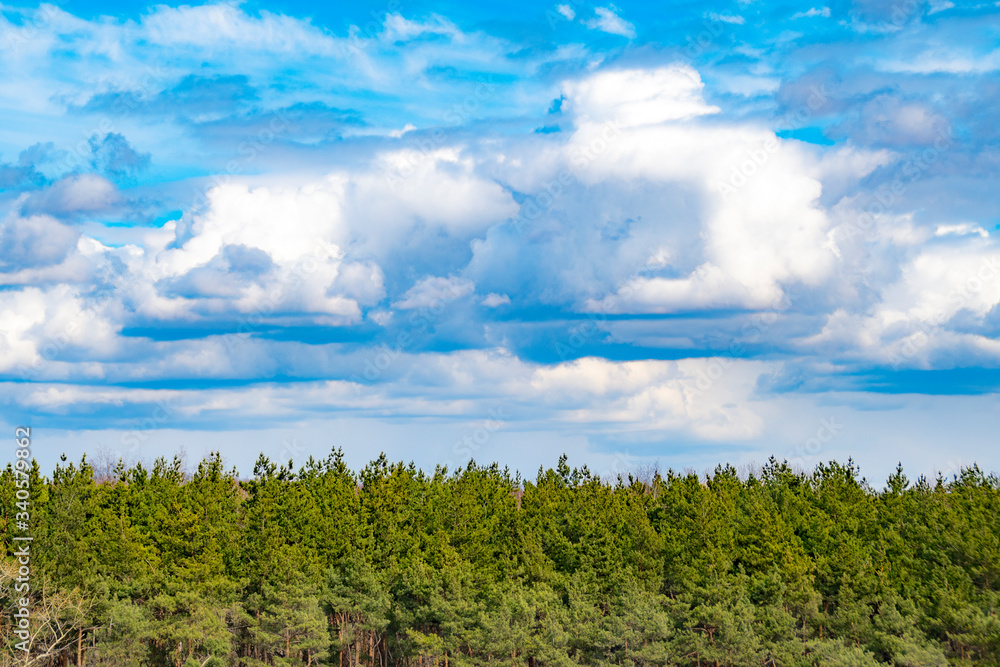 Background closed white clouds blue sky on a background of green forest