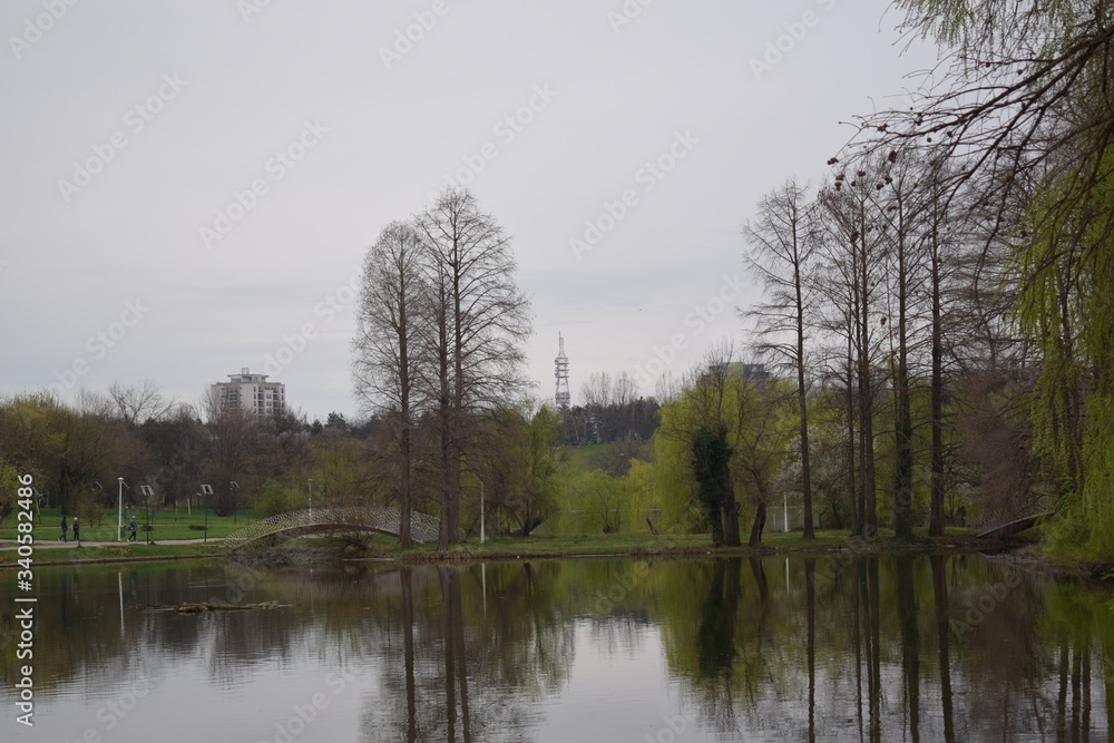 lake in the forest lake in the forest