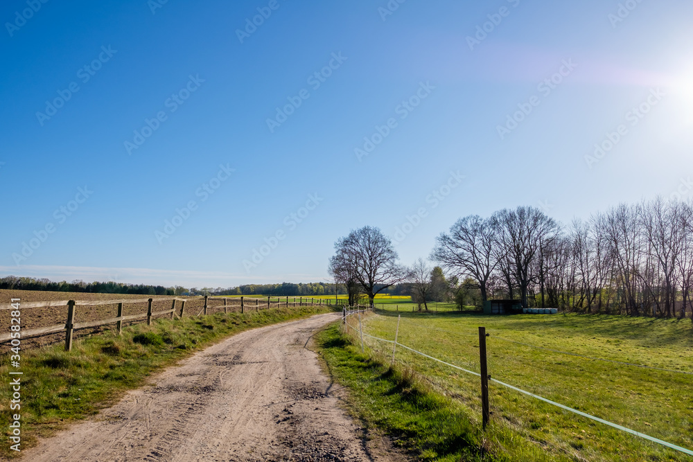 A landscape of a path surrounded by fields and grass with a bright blue sky.