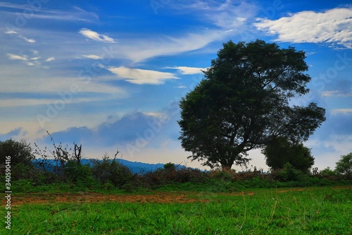 view of himalyan mountains from morni hills of haryana photo