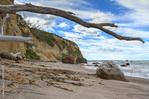 Beach landscape with large boulders and sea cliffs in New Zealand. A dead  bleached tree juts into the frame. Newdicks Beach in the Bay of Plenty  NZ