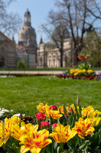 Spring vibes in Dresden, Frauenkirche, saxony, germany