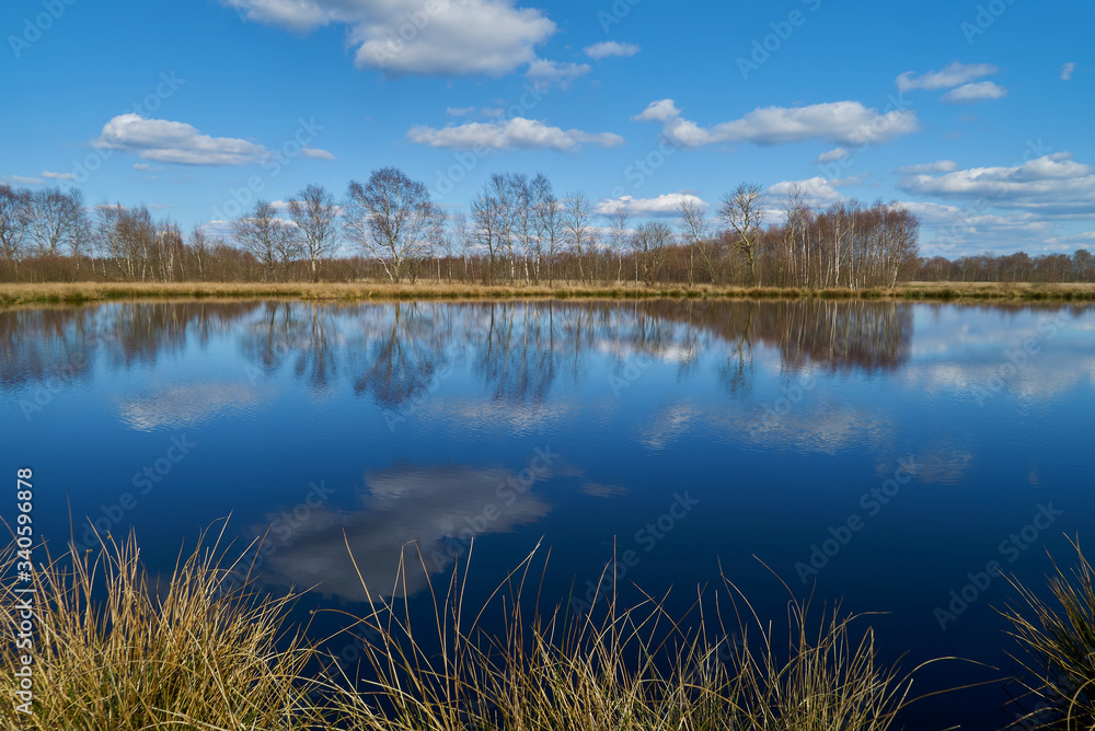 leafless trees and vivid blue sky with white clouds reflect in water of the pond Kleine Angelkuhle in the moorlands of the municipality Ovelgönne, district Wesermarsch (Germany) on a sunny spring day leafless trees and vivid blue sky with white clouds reflect in water of the pond Kleine Angelkuhle in the moorlands of the municipality Ovelgönne, district Wesermarsch (Germany) on a sunny spring day