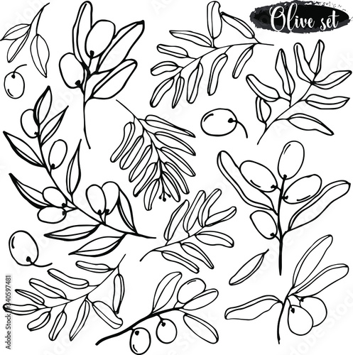 Olives set of elements with olive branches and fruits for Italian, greek or turkish cuisine design or extra virgin oil food or cosmetic product packaging wrapper. Hand drawn Illustration in vector.