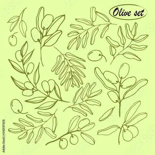 Olives set of elements with olive branches and fruits for Italian, greek or turkish cuisine design or extra virgin oil food or cosmetic product packaging wrapper. Hand drawn Illustration in vector.