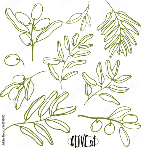 Olives set of elements with olive branches and fruits for Italian, greek or turkish cuisine design or extra virgin oil food or cosmetic product packaging wrapper. Hand drawn Illustration in vector.