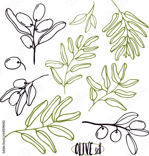 Olives set of elements with olive branches and fruits for Italian, greek or turkish cuisine design or extra virgin oil food or cosmetic product packaging wrapper. Hand drawn Illustration in vector.