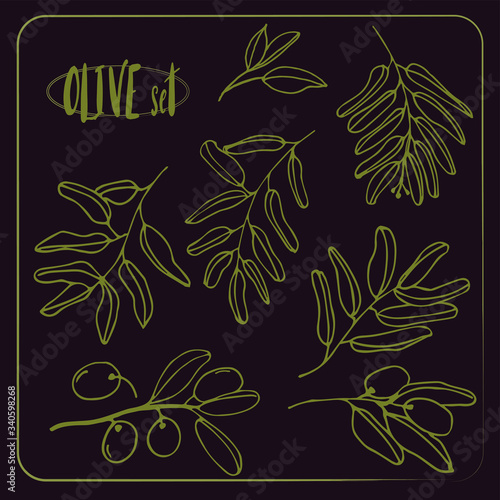Olives set of elements with olive branches and fruits for Italian, greek or turkish cuisine design or extra virgin oil food or cosmetic product packaging wrapper. Hand drawn Illustration in vector.