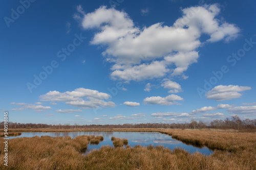 the pond Kleine Angelkuhle in the moorlands of the municipality Ovelgönne, district Wesermarsch (Germany) on a sunny spring day with vivid blue sky and white clouds