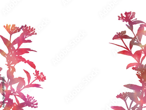 Plants isolated on a white background. Hand painted decorative image with place for text. Bright watercolour picture for creative design of posters, cards, invitations, banners, websites, etc.