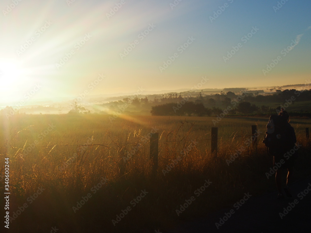 Pilgrim and bright morning sun and beautiful agricultural landscape, Camino de Santiago, Way of St. James, Journey from Olveiroa to Negreira, Fisterra-Muxia way, Spain